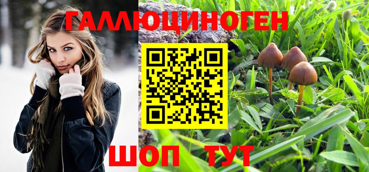 Псилоцибиновые грибы прущие грибы Бузулук