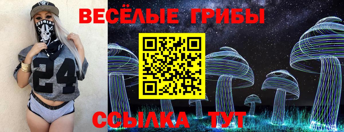 Галлюциногенные грибы Psilocybe  Вход с VPN  Бузулук 